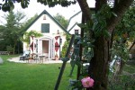 B&B De Oale Zessprong