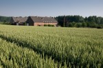 B&B 't Craaienhof