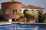 Adams Eden In Spain